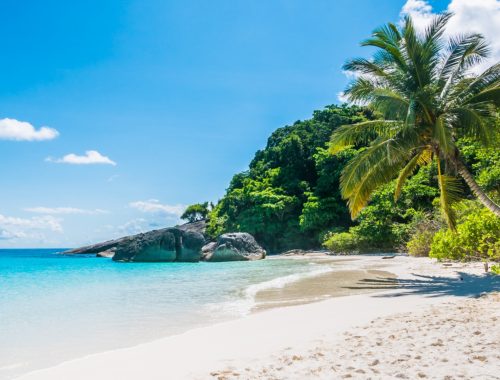 Des idées de séjours aux Antilles à ne pas manquer